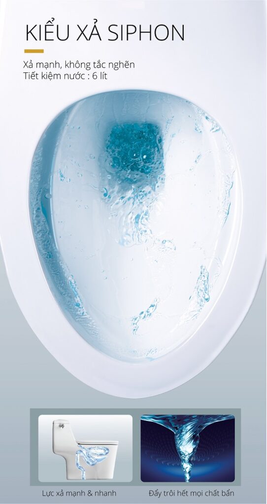 Caesar – C1353 Nam hai 3