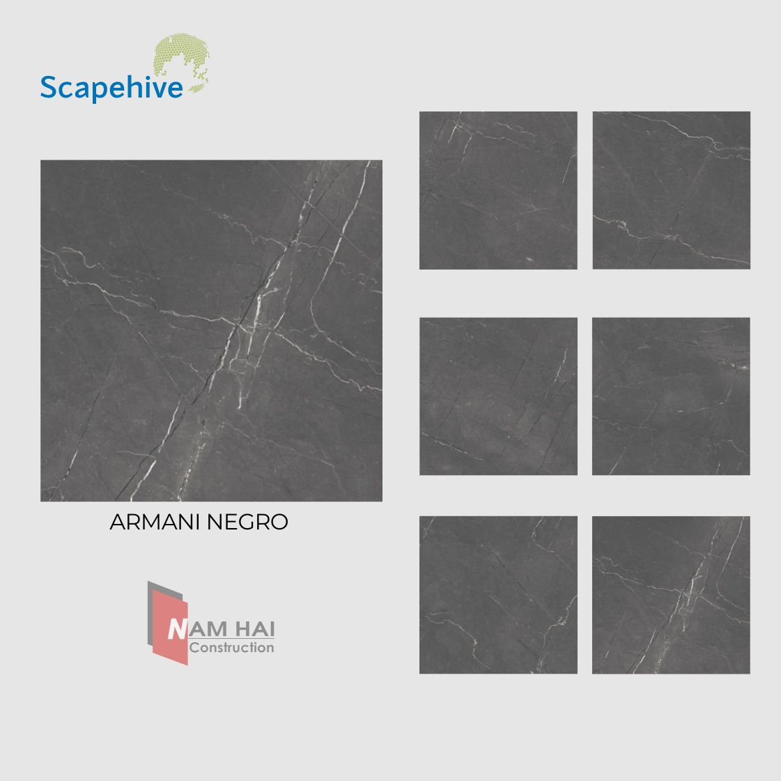 Gạch Ấn Độ Scapehive 800x800 14 2