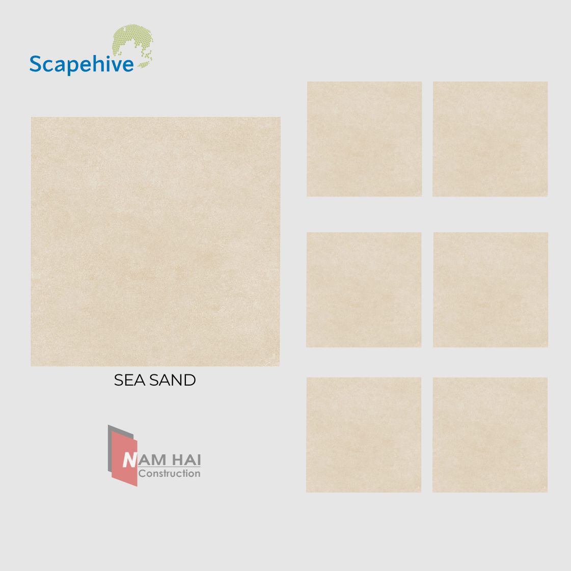 Gạch Ấn Độ Scapehive 800x800 16