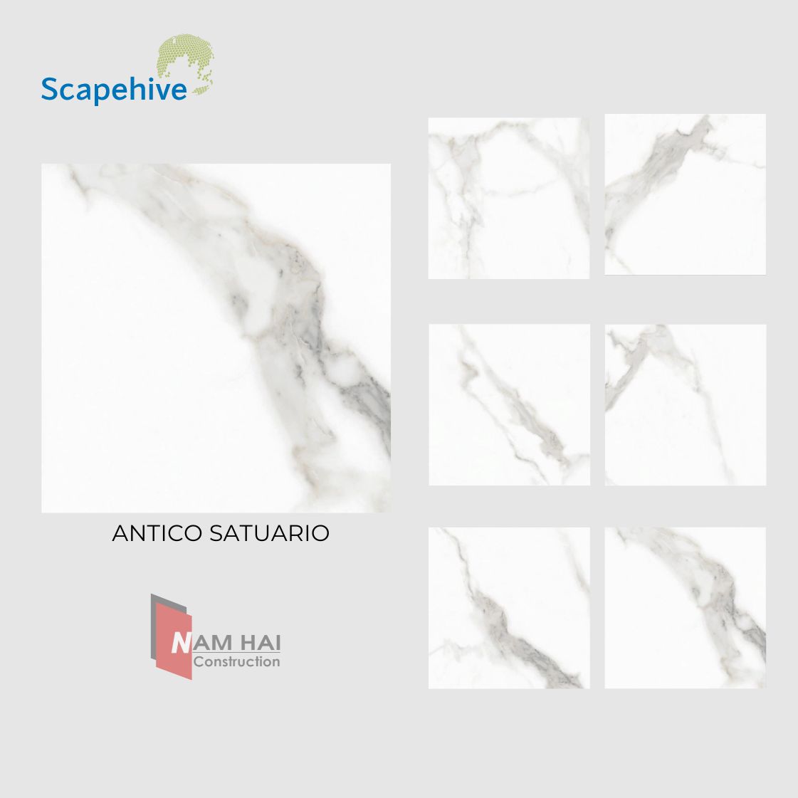 Gạch Ấn Độ Scapehive 800x800 2 1