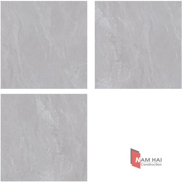 Gạch Viglacera SH20-6603 Thiet ke chua co ten 2023 08 19T144831.390