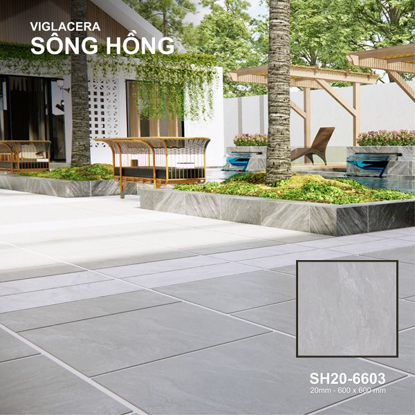 Gạch Viglacera SH20-6603 Thiet ke chua co ten 2023 08 19T154610.906
