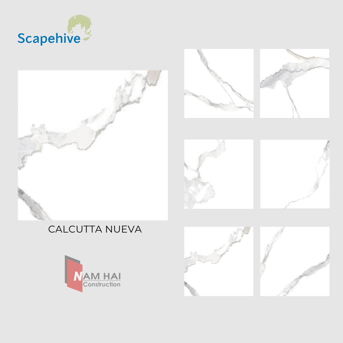 Calcutta Nueva SG 8802 shiviet cataloge 80X80 UPDATE.pdf 1