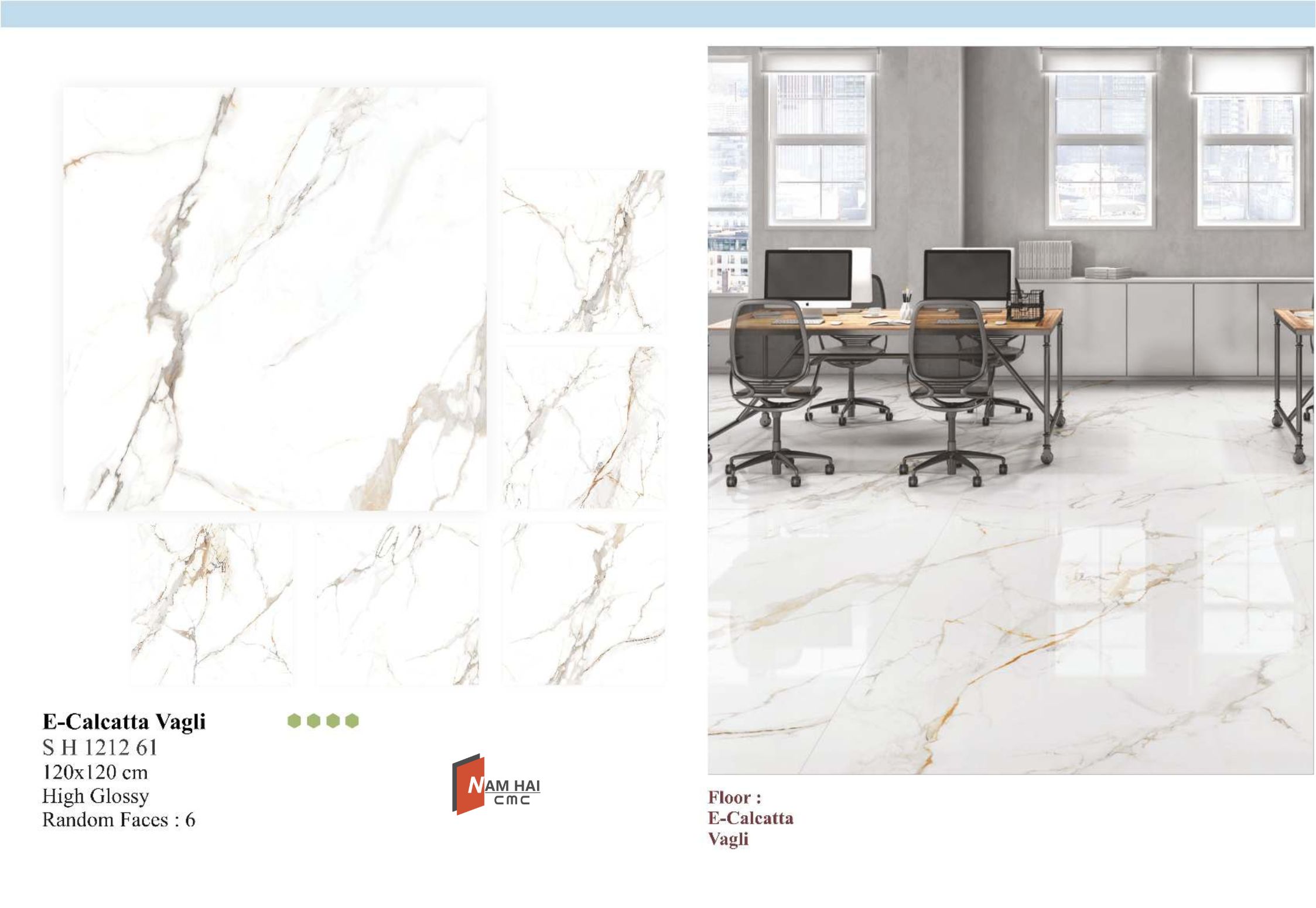 Calcatta Vagli SH 1212 61 120x120 PREMIUM INDIAN TILES COLLECTION 1 1.pdf 2