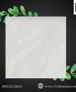 Viglacera GP 8801 quy cách 800x800 2 2