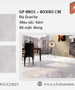 Viglacera GP 8801 quy cách 800x800 1 5