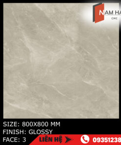 ELEGANT GREY MTH 2018 - Gạch Ấn Độ MTH 800x800mm. 3 gach an do MTH 2018 nam hai cmc web 4