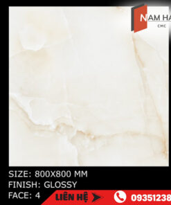 gach an do mth 2029 nam hai cmc web 4