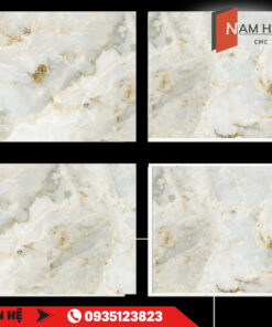 gach an do mth 5901 nam hai cmc web 1