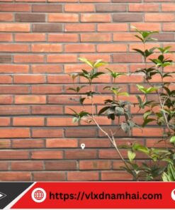 gach the gia co xay tuong nha nam hai cmc